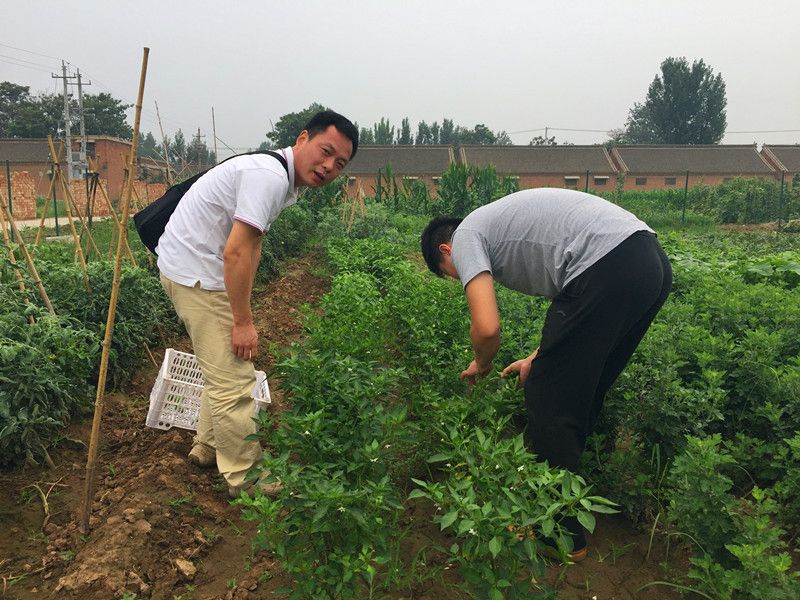 好利來(lái)郭總喊您來(lái)摘菜啦！綠色無(wú)公害，放心！